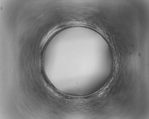 X0000058820103200509300926