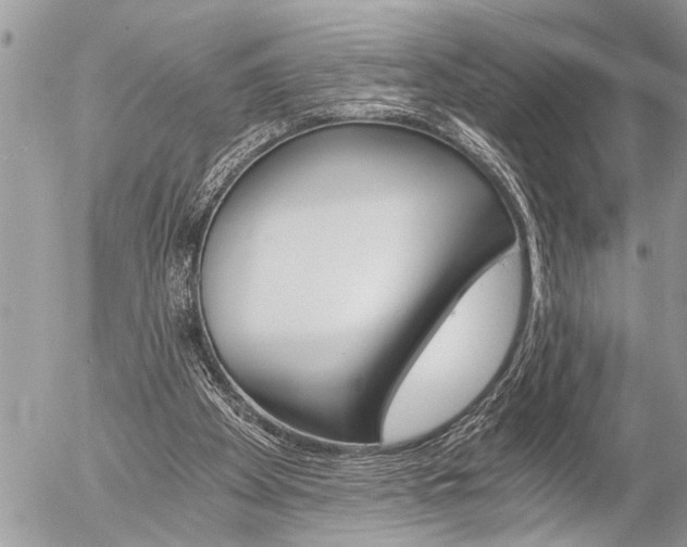 X0000058820105200509300925