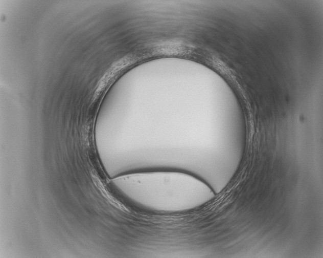 X0000058820106200509300925