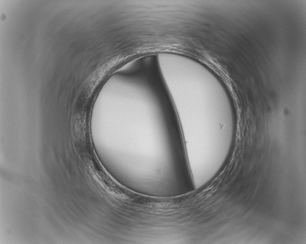 X0000058820107200509300925