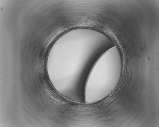 X0000058820108200509300925