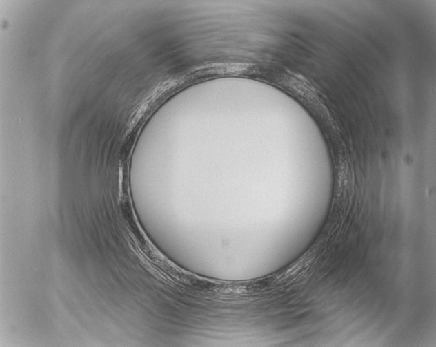 X0000058820110200509300925