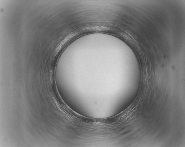 X0000058820111200509300925