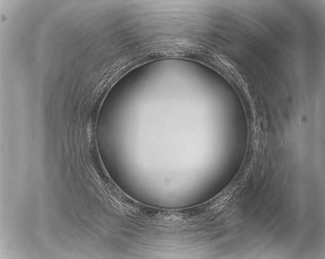 X0000058820113200509300925