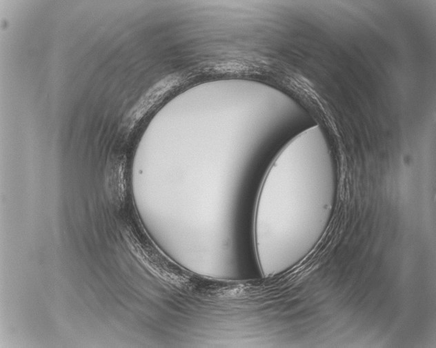 X0000058820116200509300925