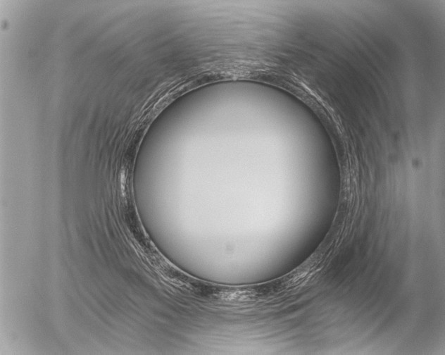 X0000058820117200509300925