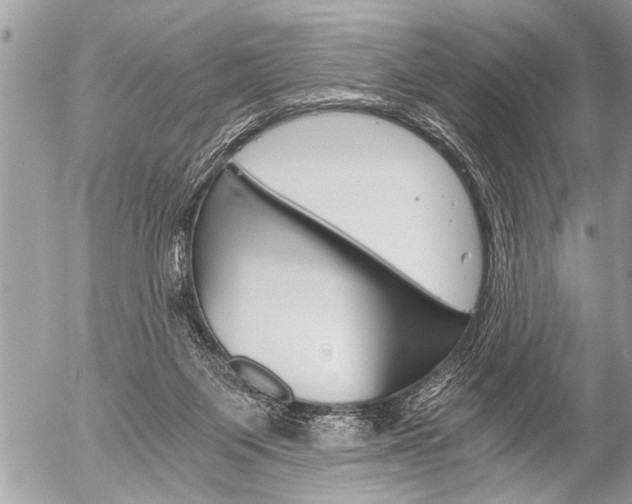 X0000058820119200509300925