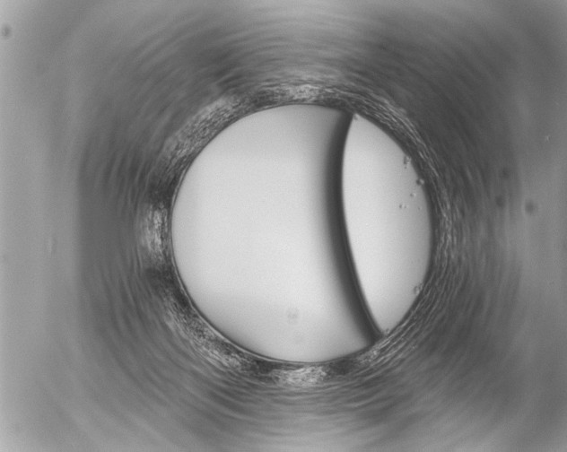 X0000058820122200509300925