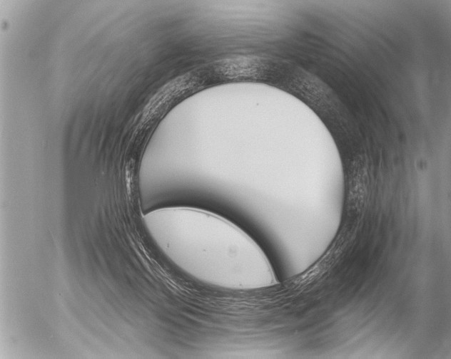 X0000058820124200509300925