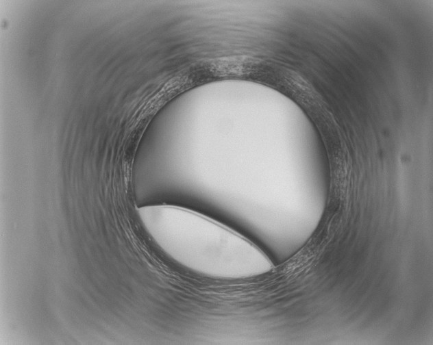 X0000058820125200509300925