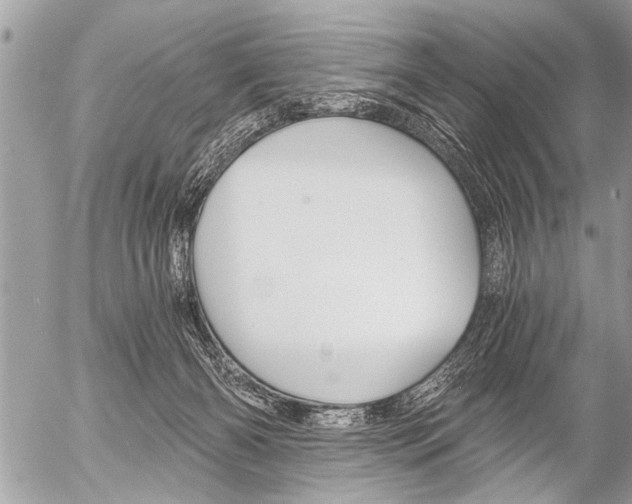 X0000058820126200509300925