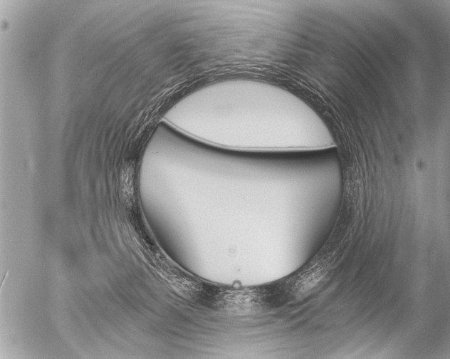 X0000058820127200509300925