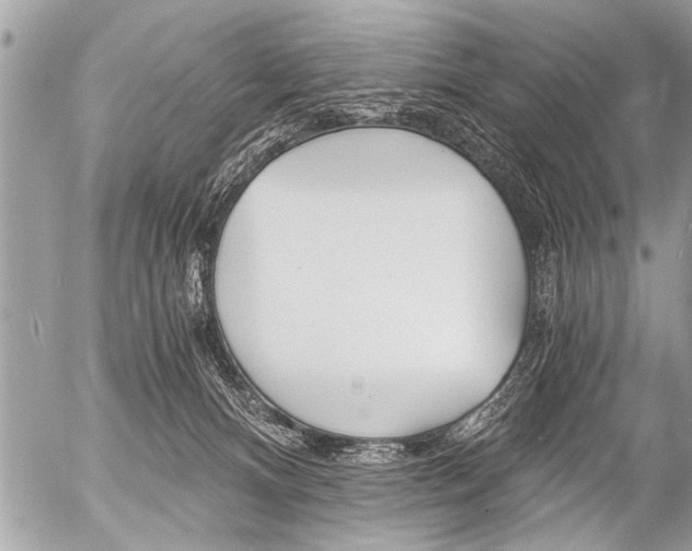 X0000058820128200509300925