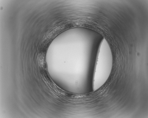 X0000058820129200509300925