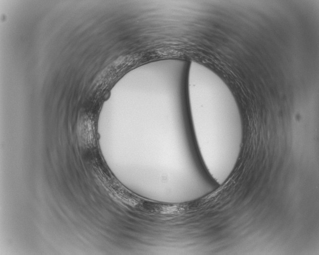 X0000058820130200509300925