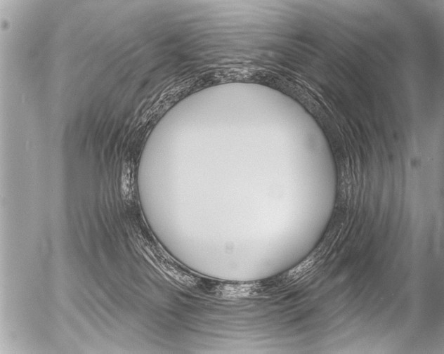 X0000058820134200509300925