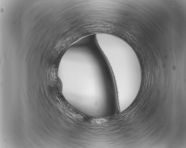 X0000058820137200509300925