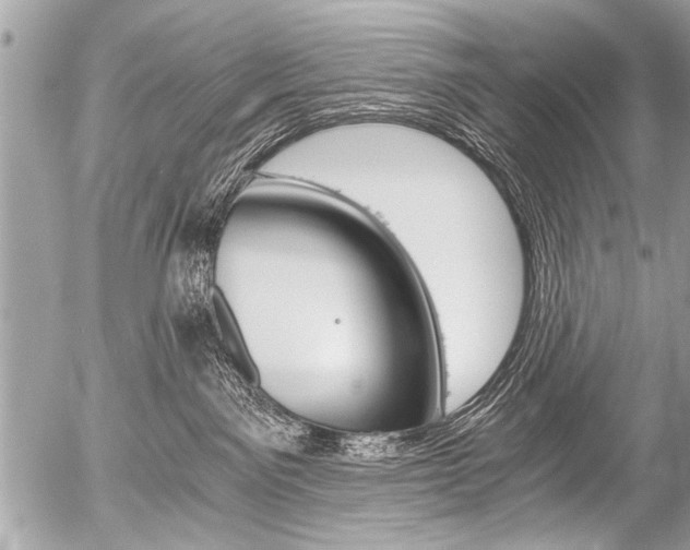 X0000058820141200509300925