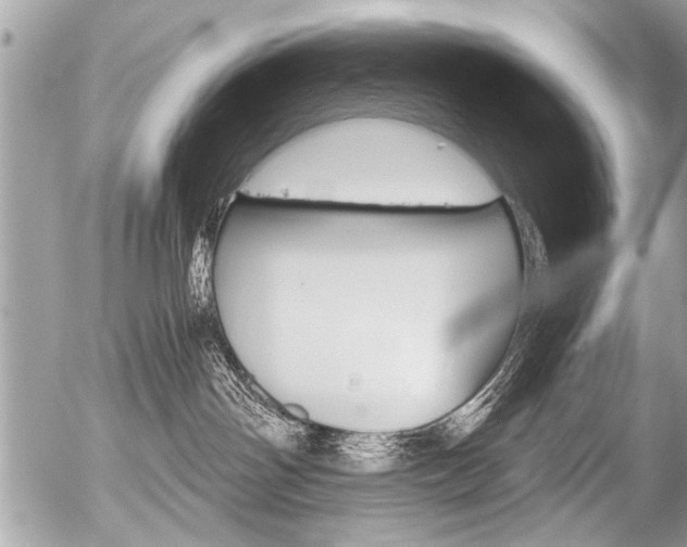 X0000058820142200509300925