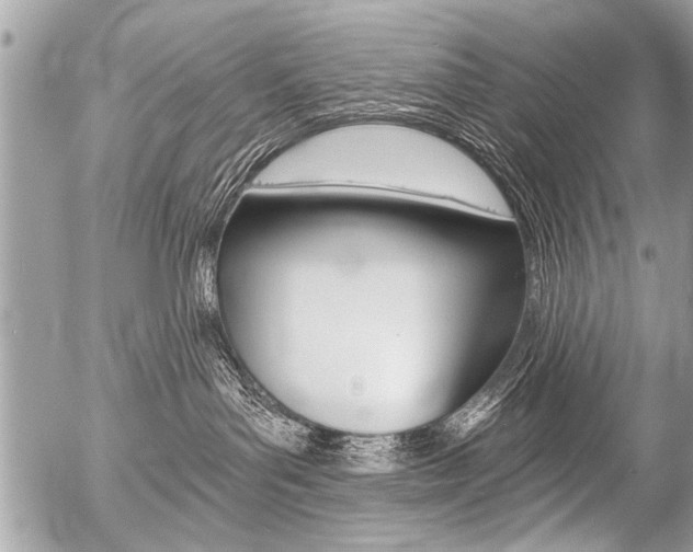 X0000058820143200509300925