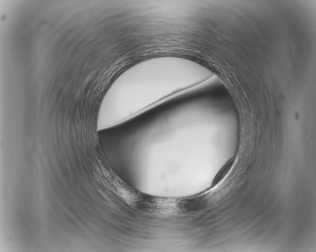 X0000058820144200509300925