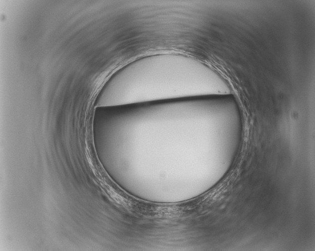 X0000058820145200509300924