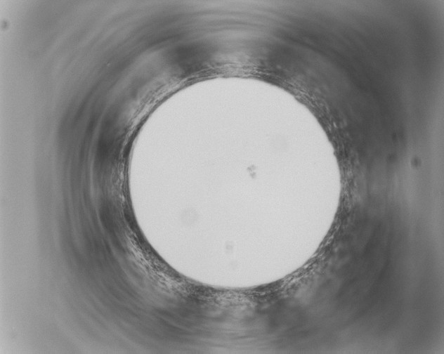 X0000058820146200509300924