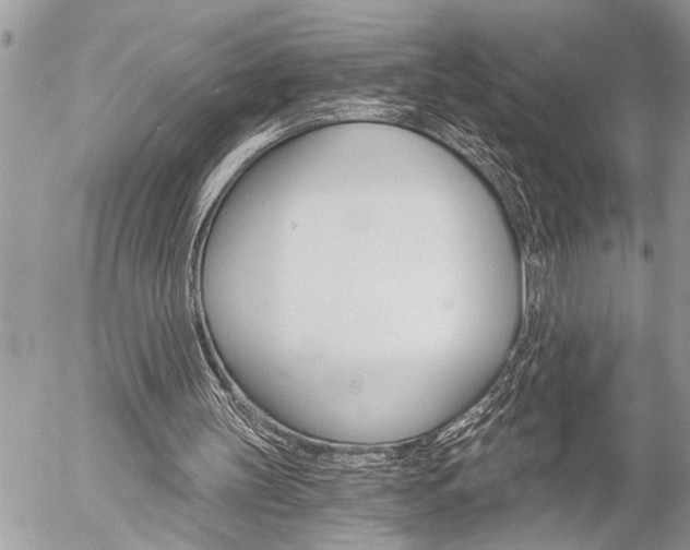 X0000058820147200509300924