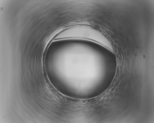 X0000058820148200509300924