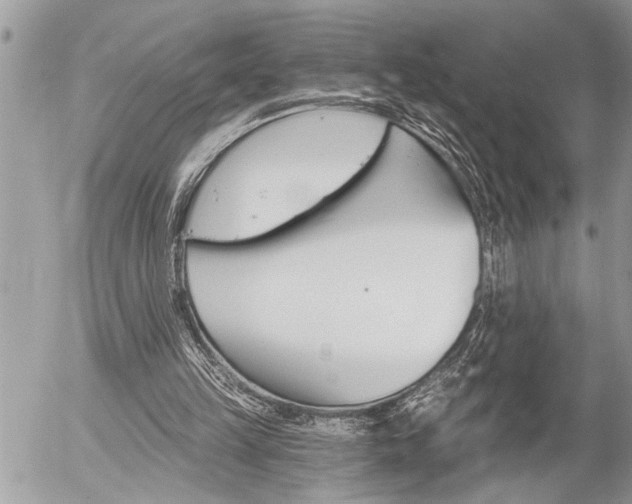 X0000058820149200509300924