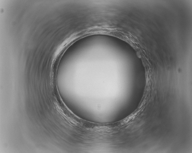 X0000058820150200509300924