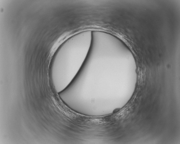 X0000058820151200509300924