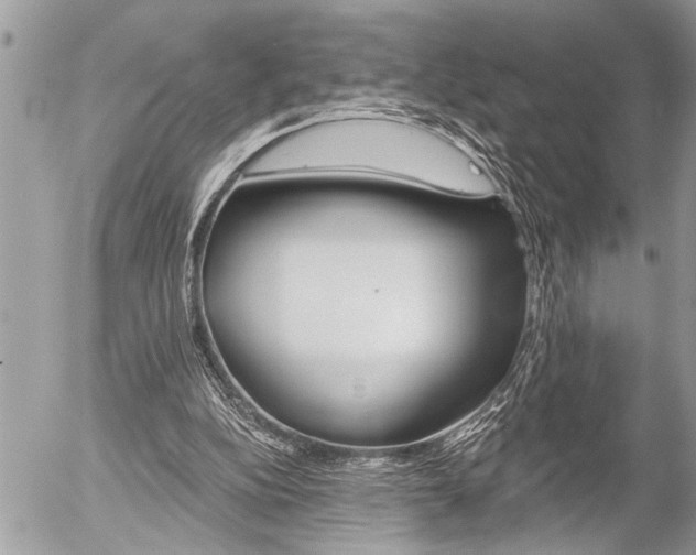 X0000058820152200509300924