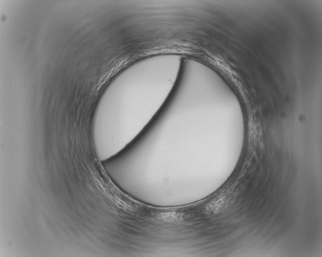 X0000058820153200509300924