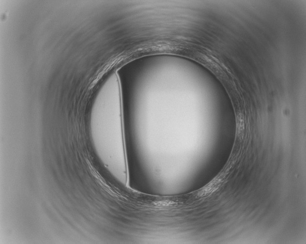 X0000058820158200509300924