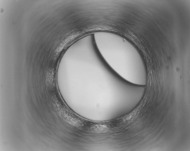 X0000058820159200509300924