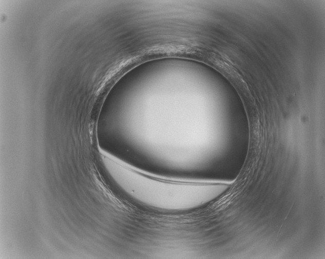 X0000058820160200509300924