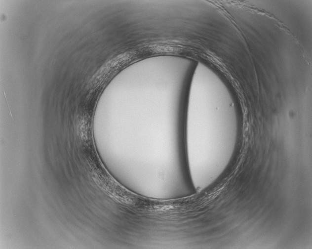 X0000058820161200509300924