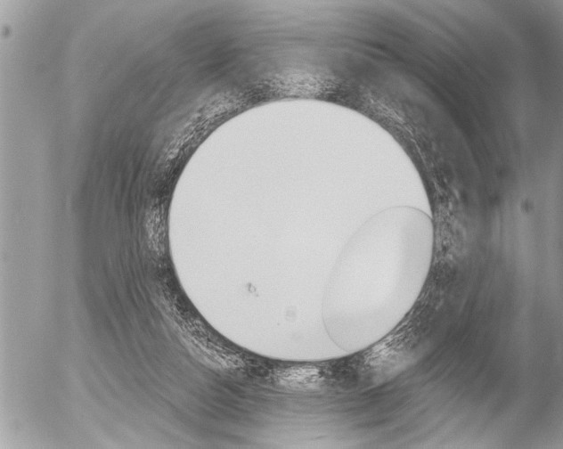 X0000058820162200509300924