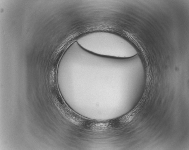 X0000058820163200509300924