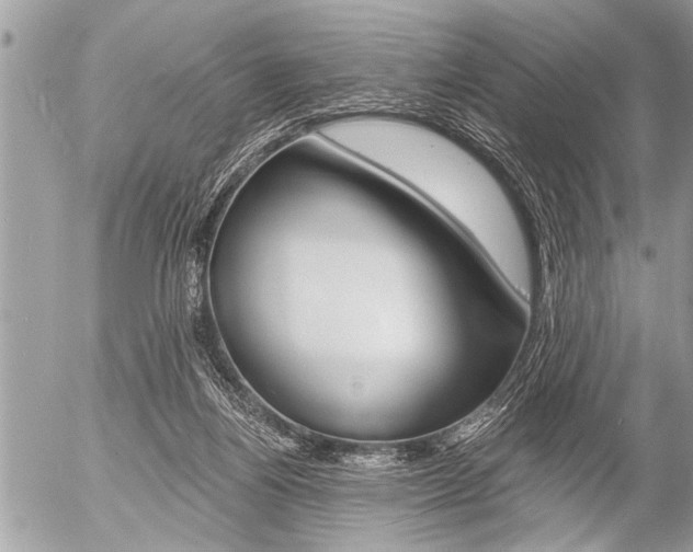 X0000058820164200509300924