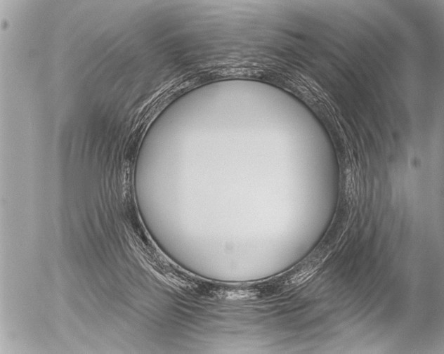 X0000058820165200509300924