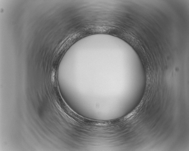 X0000058820166200509300924