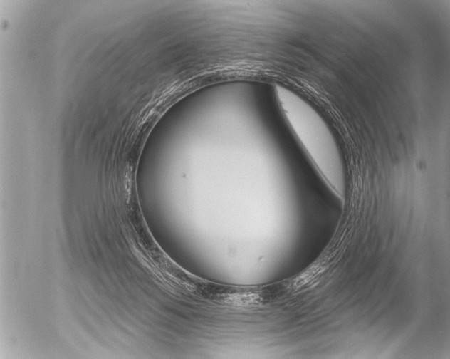 X0000058820168200509300924