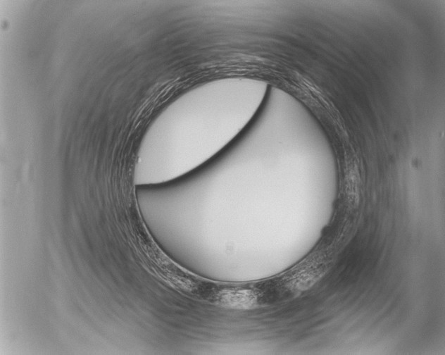 X0000058820169200509300924