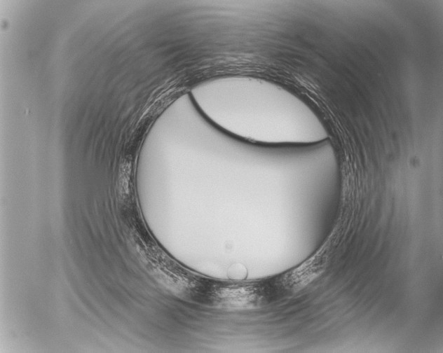 X0000058820171200509300924