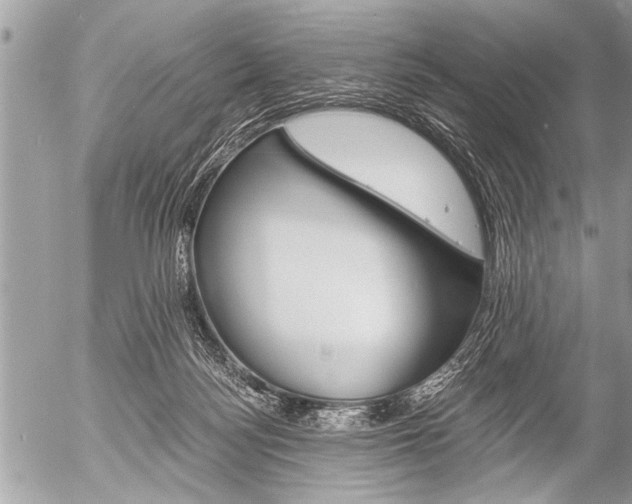 X0000058820172200509300924