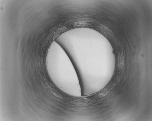 X0000058820173200509300925