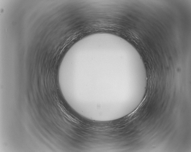 X0000058820175200509300925