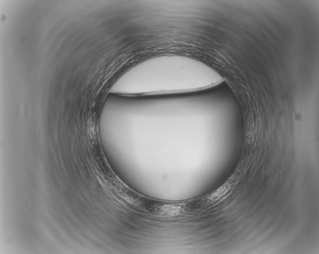 X0000058820176200509300925